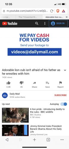 Daily Mail UK 英國《每日郵報》在YouTube上發布的賺錢視頻截圖